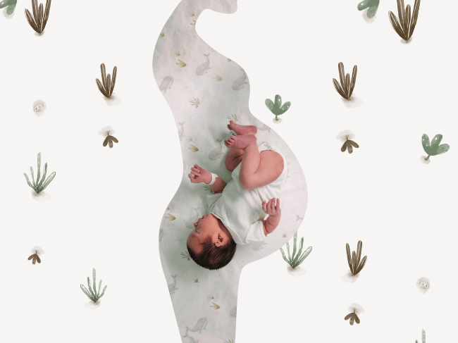 Banner campanha Maternidade