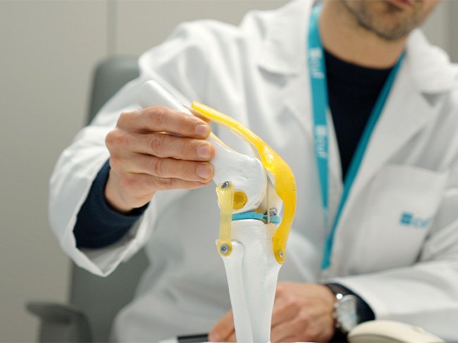 Médico mexe num modelo 3D de um joelho.