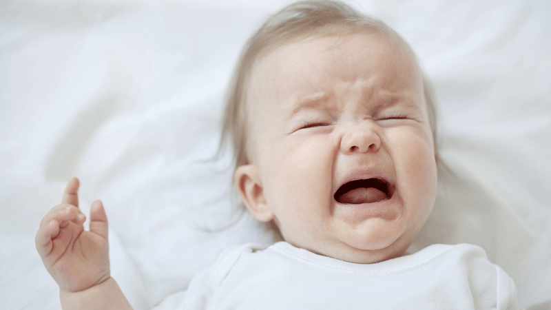 Pais não percebem porque chora o bebé