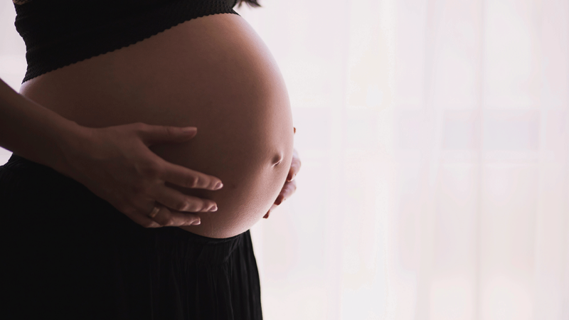 Mulher grávida descobre o que é a toxoplasmose