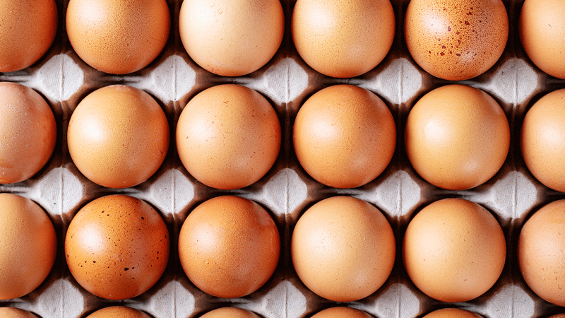 Ovos aumentam o colesterol?