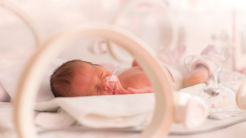 bebé menina prematura na incubadora