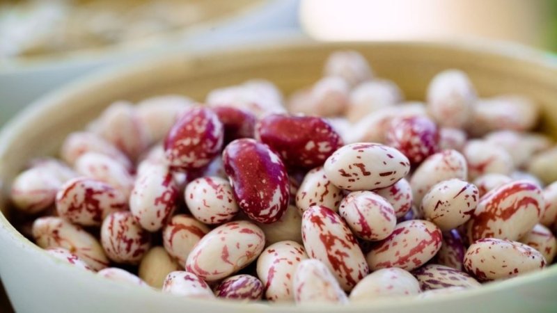 Feijão, um dos alimentos que pode provocar flatulência