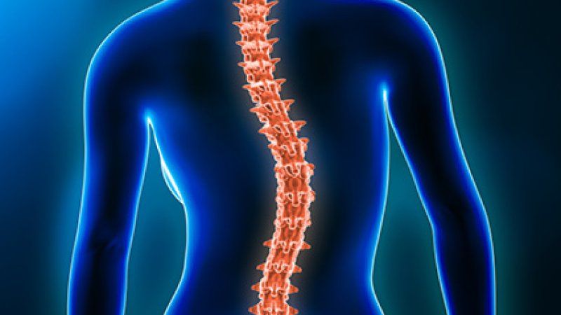 desenho de corpo coluna vertebral