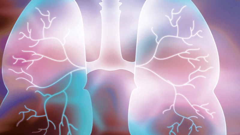 Ilustração estilizada de dois pulmões com destaque para os brônquios e ramificações internas, em tons de azul e rosa sobre um fundo desfocado.