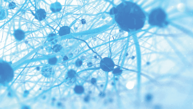 Ilustração abstrata em tons de azul que representa uma rede de conexões, semelhante a neurónios interligados, simbolizando tecnologia, memória ou comunicação.