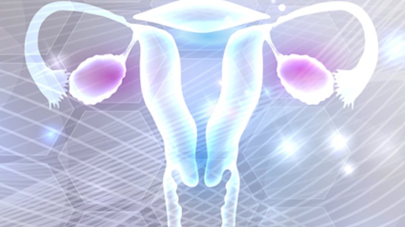 Ilustração estilizada do sistema reprodutor feminino - útero, trompas de Falópio e ovários, em tons azulados e lilás, sobre fundo abstrato com elementos geométricos e linhas tecnológicas.