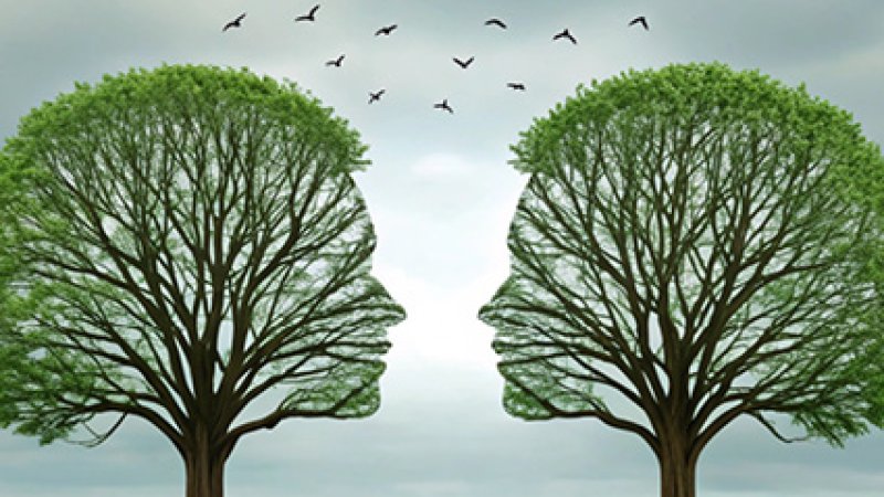 Duas árvores com formato de cara que comunicam uma com a outra.