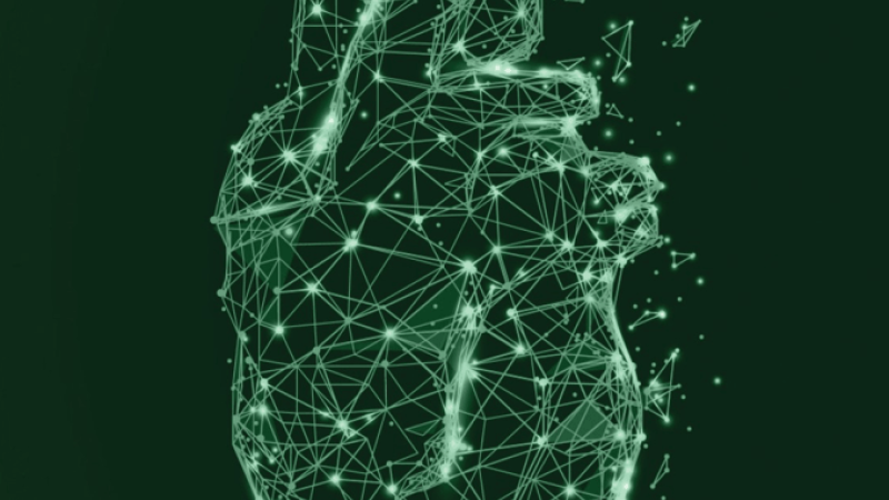Desenho 3D em tons de verde e brilhantes em formato de coração de um humano.