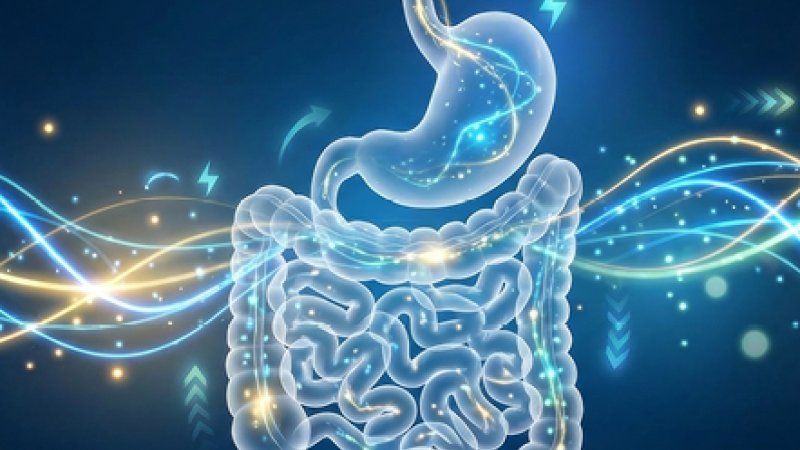 Ilustração digital e luminosa do sistema digestório humano, destacando o esôfago, estômago e intestinos com fluxos de energia e luzes brilhantes em azul e dourado.