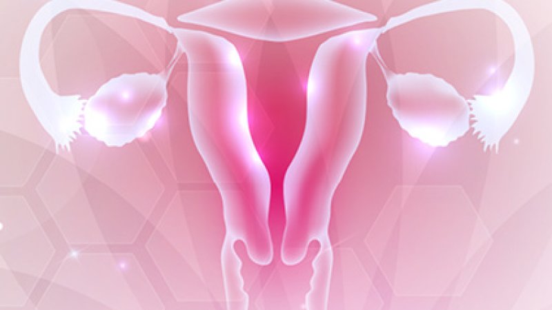 Ilustração digital e estilizada do sistema reprodutor feminino em tons de rosa e branco, destacando o útero, as trompas de Falópio e os ovários sobre um fundo geométrico abstrato.