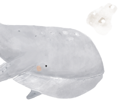 baleia-left