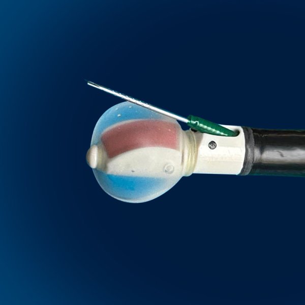 ecobronquica_academia