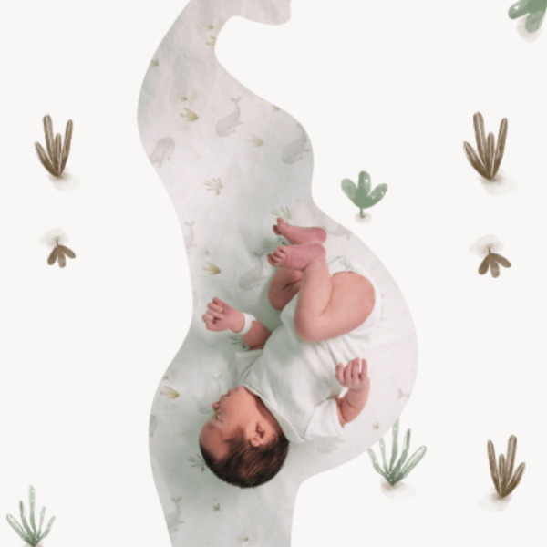 Bebé na barriga da Mãe