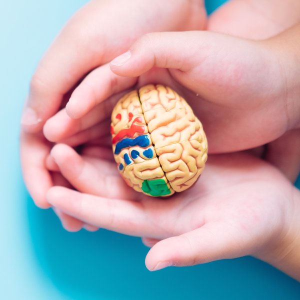 neuropediatria_academia