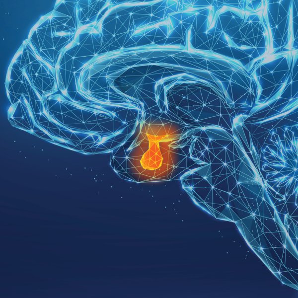 PituitaryTumors_academia