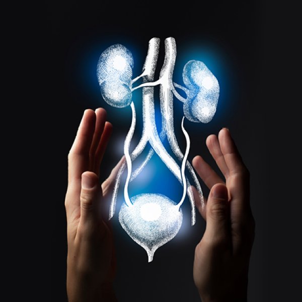 sistema urologico seguro por duas mãos