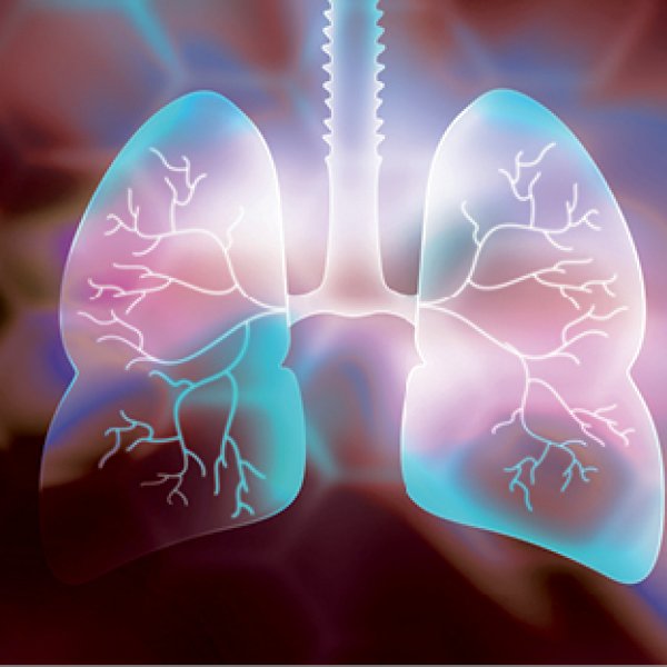 pulmao em ilustração evento academia