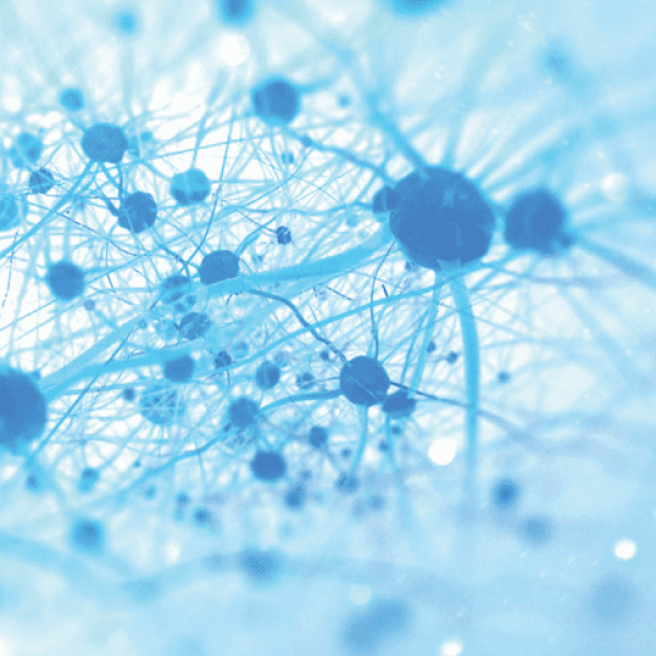 Ilustração abstrata em tons de azul que representa uma rede de conexões, semelhante a neurónios interligados, simbolizando tecnologia, memória ou comunicação.