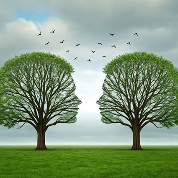 Duas árvores com formato de cara que comunicam uma com a outra.