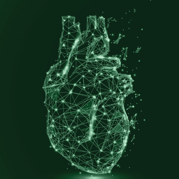 Desenho 3D em tons de verde e brilhantes em formato de coração de um humano.