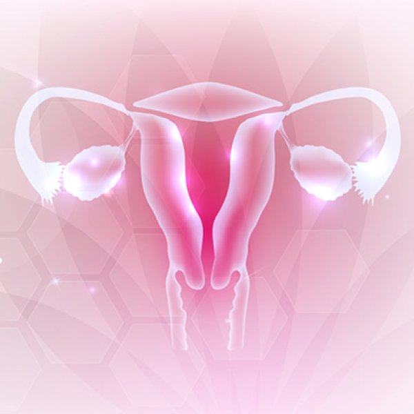 Ilustração digital e estilizada do sistema reprodutor feminino em tons de rosa e branco, destacando o útero, as trompas de Falópio e os ovários sobre um fundo geométrico abstrato.