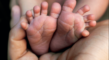 Famílias Cidadania Empresarial