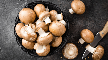 Cogumelos, um dos alimentos que estimulam o sistema imunitário
