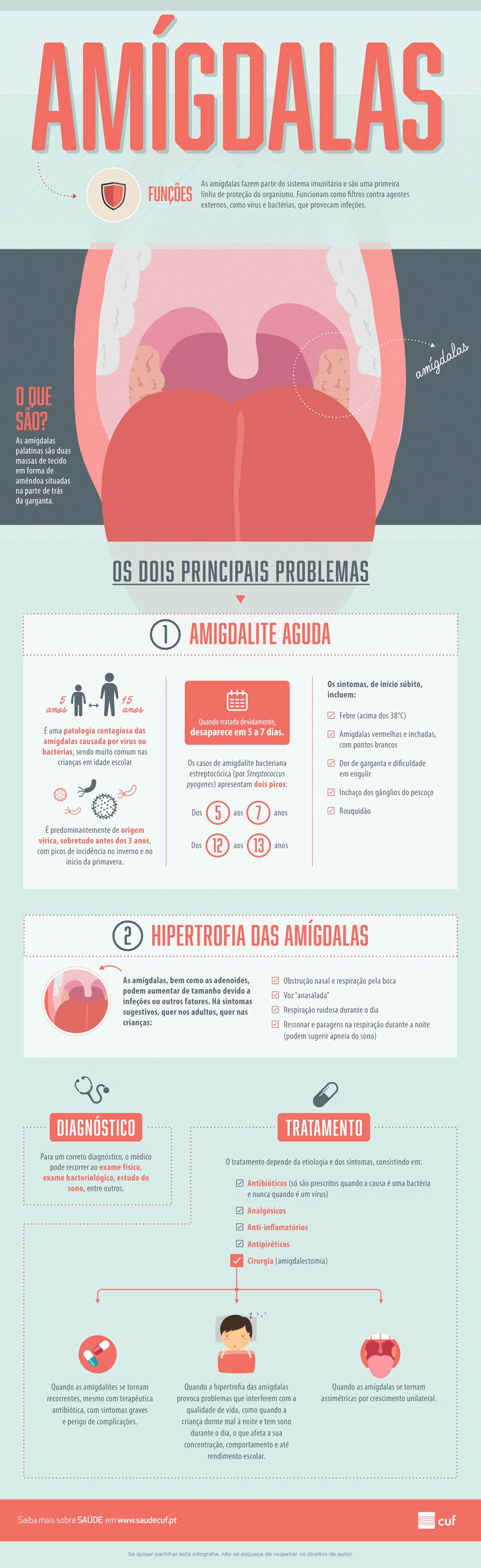 Infografia sobre as funções das amígdalas e os principais problemas
