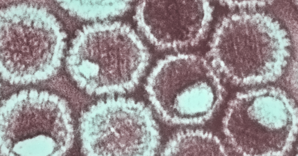 Herpes Genital Cuf