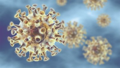 informações básicas sobre coronavírus