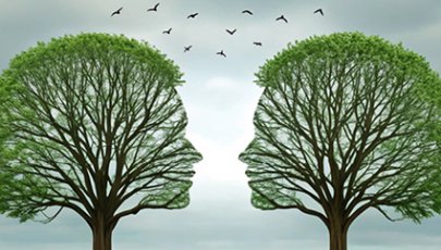 Duas árvores com formato de cara que comunicam uma com a outra.