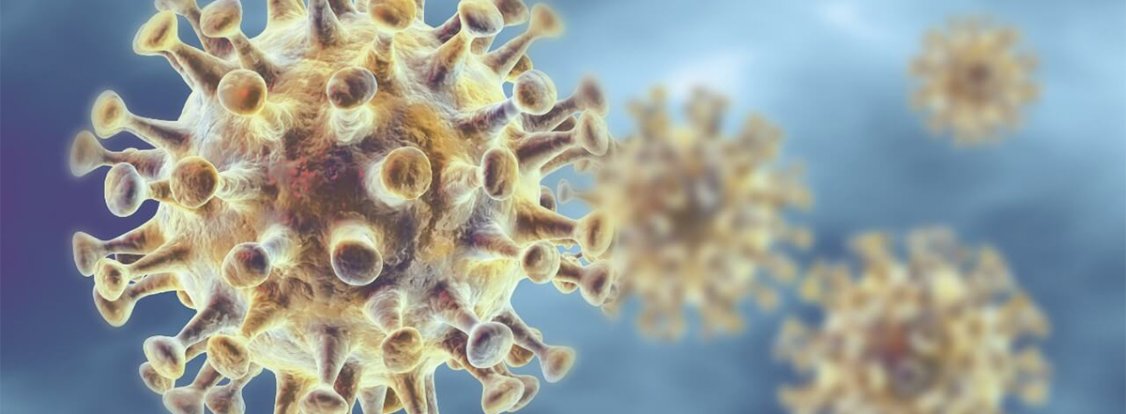 informações básicas sobre coronavírus